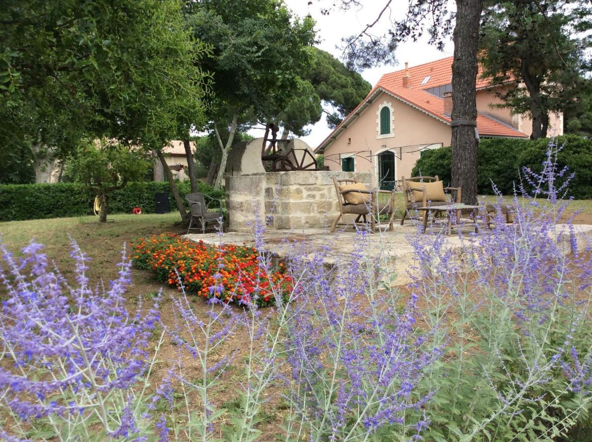 La Maison Du Mole Aigues-Mortes Exterior foto